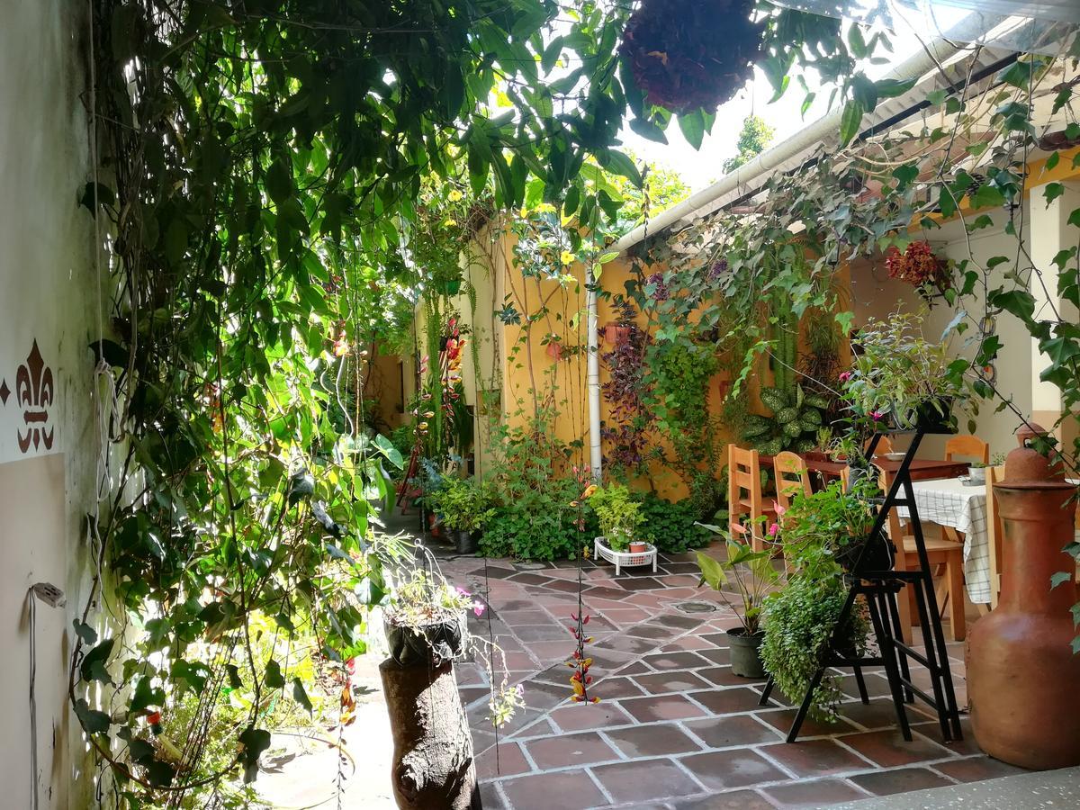 Casa Moka Bed & Breakfast Antigua Exterior photo