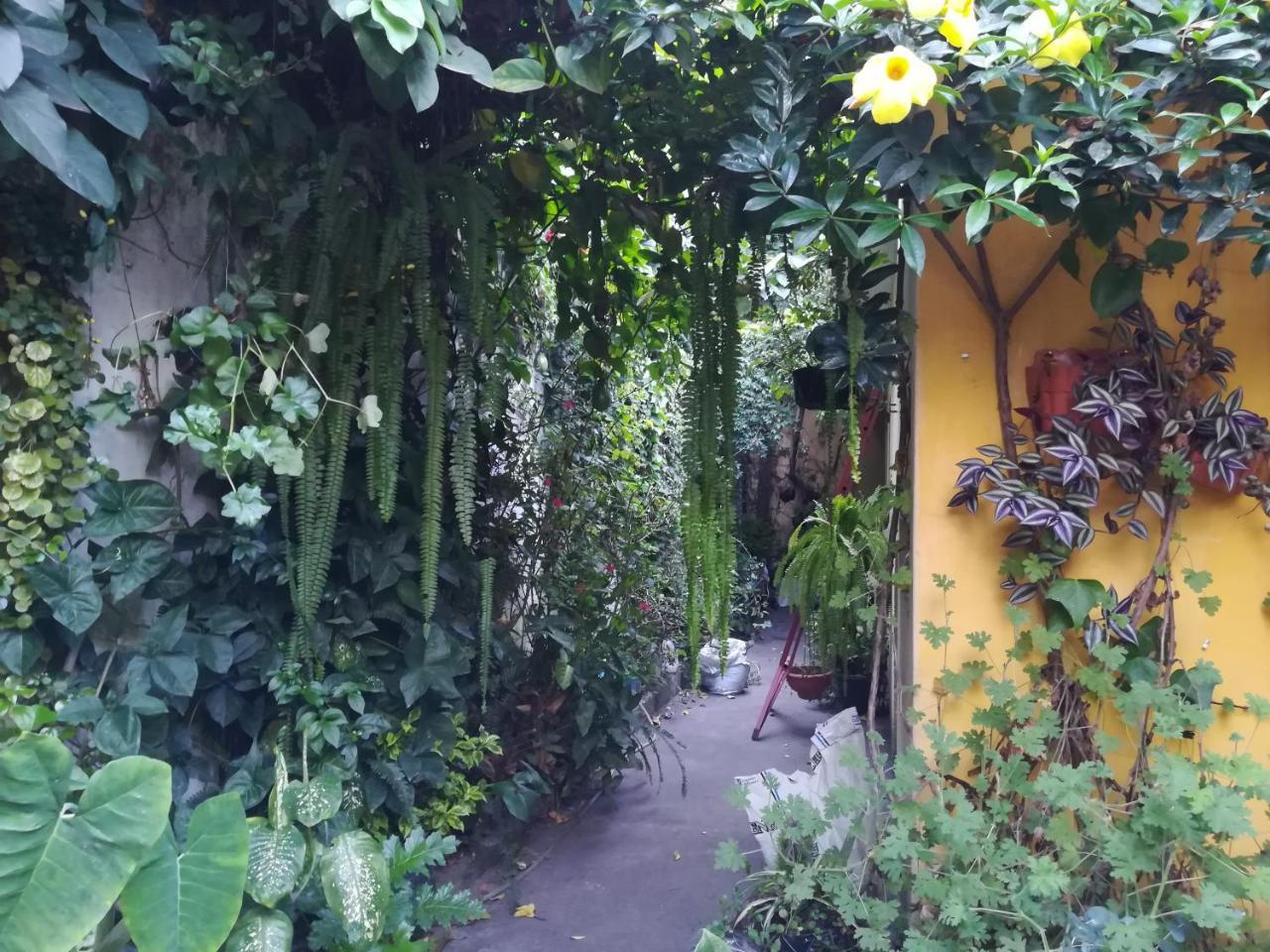 Casa Moka Bed & Breakfast Antigua Exterior photo